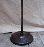 Steel Gooseneck Floor Lamp