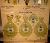Pollination Fertilization